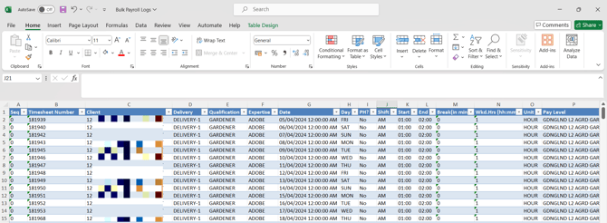 Bulk Payroll Log3-N