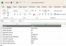 Plan Usages Overview-Excel