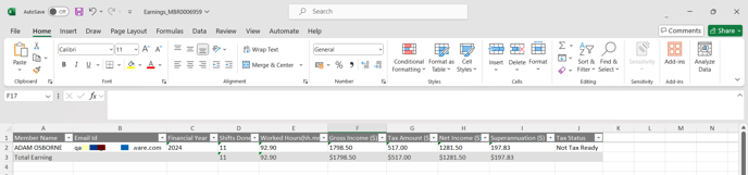 View Earning - Excel