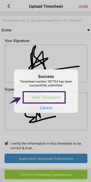View Timesheet